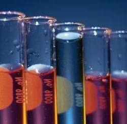 biotechs.png Biotechs