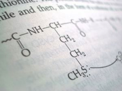 chemistry-compound-sxc