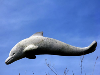 dolphin-statue-rgb