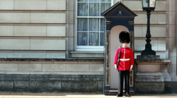 guard.png guard