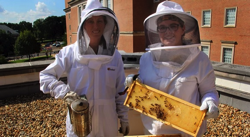 launch-umd-beekeeper-image