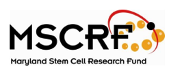 mscrf-logo-text