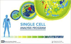nih-follow-that-cell-image
