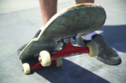 skateboard-sxc