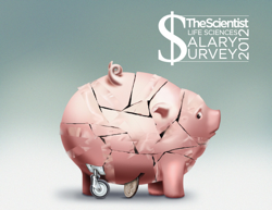 the-scientist-salary-survey