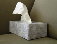 tissue-box-sxc