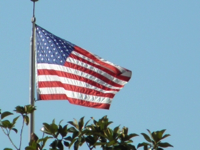 usa-american-flag-sxc